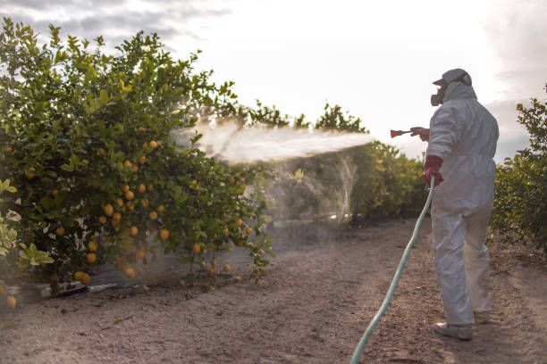 Best Residential Pest Control  in Rural Retreat, VA