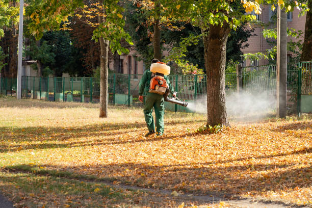 Best Affordable Pest Control Services  in Rural Retreat, VA